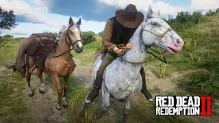 Domei um CAVALO APPALOOSA e roubei uma CARRUAGEM - Red Dead Redemption 2