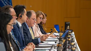 WIPO Member States Adopt New Treaty on IP, Genetic Resources, and Associated Traditional Knowledge