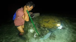 Menombak ikan malam hari ketemu spot baru banyak ikan babon dan menombak Giant Moray eel