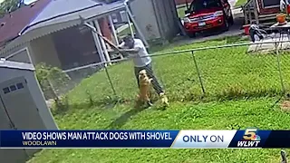 Video shows man attack dog with shovel in Woodlawn