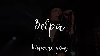 Диктофон – Зебра (Live @ Мумий Тролль Music Bar, 14.01.2023)