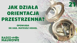 Jak mrówka trafia do mrowiska, a człowiek do domu? O orientacji w przestrzeni | dr Mateusz Hohol