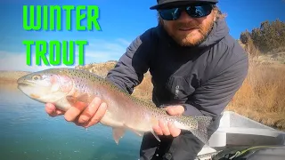 The Best WINTER TROUT Fly Fishing