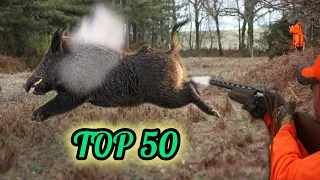 TOP 50 WILD BOAR HUNTS/EXCELLENT SCENES AND UNFORGETTABLE SHOTS#pig#wild#hunting#boar#chase#wildlife