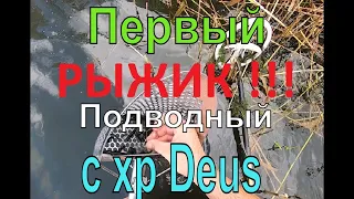 Первое подводное золото - XP DEUS РУЛИТ