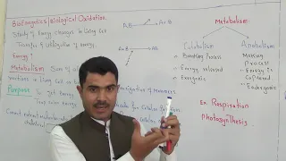 Bioenergetics  or biological oxidation, metabolism and its types in English version part1 by dr Hadi