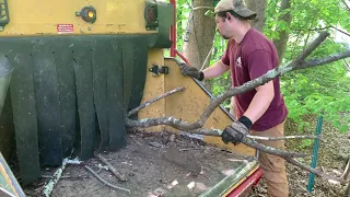 Chipping Up Massive Brush Pile