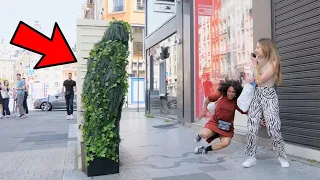 Ultimate Best of Bushman Prank Compilation June month