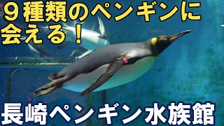 9種類のペンギンに会える【長崎ペンギン水族館】