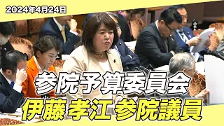 2024/4/24 参院予算委員会 伊藤孝江参院議員