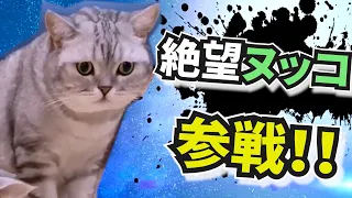 爆笑おもしろネコ全員参戦!!　Part8 🐱🐱🐱