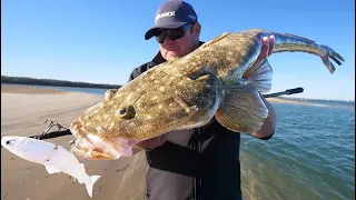 Giant 95cm flathead on a swimbait!