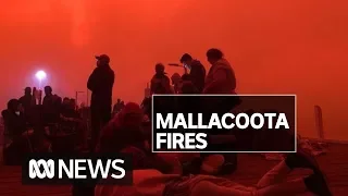 'When will this nightmare end?': Inside Mallacoota's bushfire 'apocalypse' | ABC News