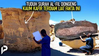 Dituduh Surah Al-Fil Hanyalah Dongeng. Ini Bukti Gajah Bisa Hidup di Padang Pasir oleh Sains