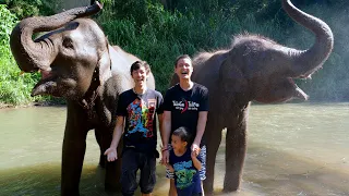 Elephant Adventure with @MarkWiens  (Jungle Hike with Elephants in Chiang Mai, Thailand)