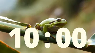 10 Minute Frog Countdown with Relaxing Rain and Alarm