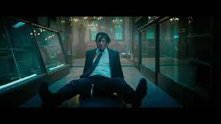 Bad Romance - John Wick music video