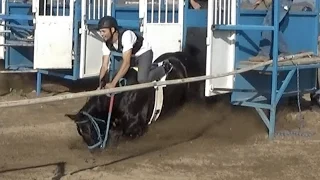 Carreras de Caballos en Madera, California 13 de Noviembre 2016