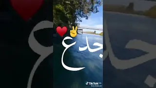 افلام كرتون منصور كامل