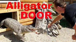 I Built My Alligators Doors To Go Outside!
