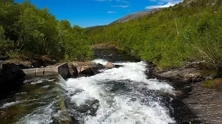 Free stock footage: Strong river flowing in the spring forest