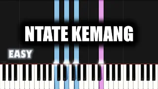 Dumi Mkokstad - Ntate Kemang | EASY PIANO TUTORIAL by SA Gospel Piano