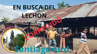 En busca del lechon (CORREGIDO)