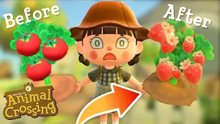 Is Modding The FUTURE of Animal Crossing: New Horizons?!