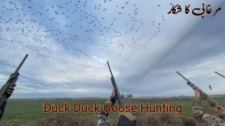 ||Goose hunting new 2023||Goose hunting||NON Stop MONSTER Goose rainouts||FEED THE CYCLONE||Hunting|