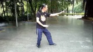 形意拳 五行拳 Xingyiquan Five elements 形意拳