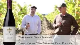 2012 Green Valley Pinot Noir - DeLoach Vineyards