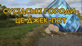 Сусідські городи- це джек-пот. Коп з Nokta makro simplex + (нокта макро сімплекс плюс)