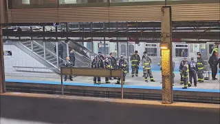 Person dies on CTA tracks after fleeing Dan Ryan traffic stop