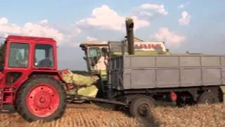 Claas Dominator 106 (Horváth Tamás/Tomasz)