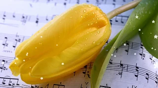 └─►Желтые тюльпаны - Наташа Королева♥♪♫(Дискотека-90х)♥♪♫