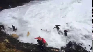 'Idiots': No Sympathy From Bystander as Waves Topple Tourists on Iceland Beach