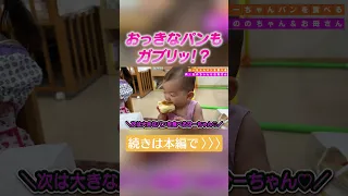 0歳9ヶ月のひーちゃんがパンを大食い⁉️🍞  #ののかちゃん