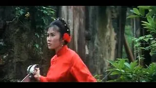 Kirli Kaplan İle Çılgın Kurbağa Türkçe Full Kung Fu Film