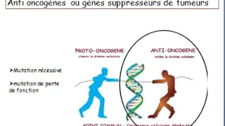 Cours Génétique du cancer