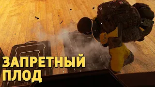 Запретный плод /Rainbow Six Siege