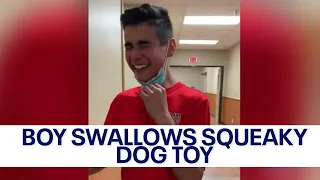 WATCH: Teen squeaks when laughing after accidentally swallowing dog toy