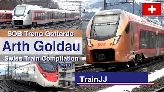 🇨🇭 4k Swiss trains Compilation | Arth-Goldau | Treno Gottardo - VAE Voralpen-Express SOB Sudöstbahn