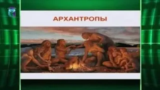 Происхождение человека разумного и пути его эволюции. Антропогенез. Часть 1