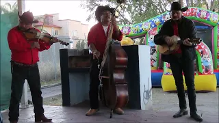 Musicos de Villa Guerrero,Jalisco