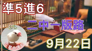 今彩539 【9月22日(三)】『二中一版路 準5進6』 -鳥半仙