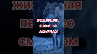 Жизненная песня со смыслом.