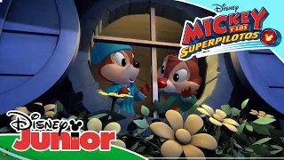 Mickey y los Superpilotos: Las locas aventuras de Chip y Chop - Tres son multitud | DJunior Oficial