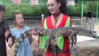 Девочка и крокодил. Заберите крокодила