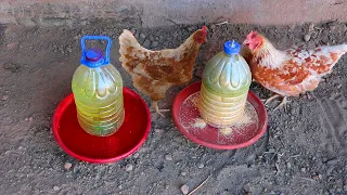 How to make a feeder and drinker for chickens with large bottles.