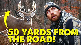 BIG BUCKS CLOSE TO THE ROAD! - Hunt Breakdown | Public Land Bowhunting